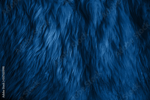 Close up of a blue sheepskin rug as a background