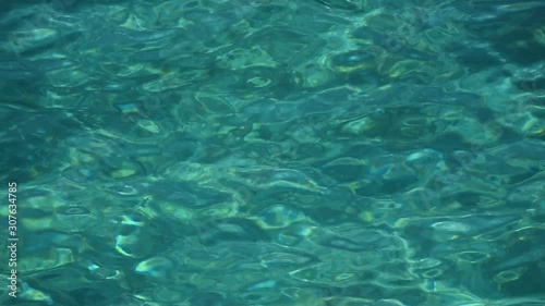 Wallpaper Mural Emerald green sea ripples running on water surface Torontodigital.ca