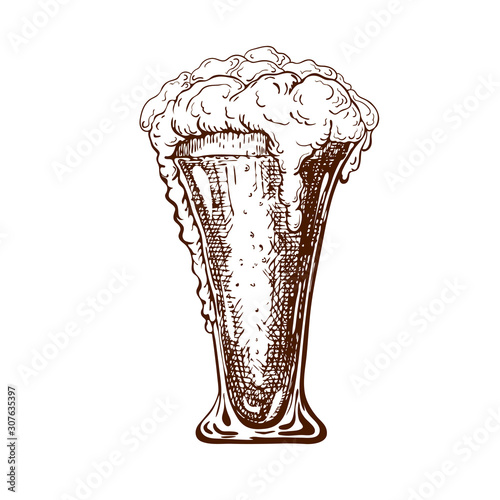 vector hand drawn tall beer glass full of cool beer with foam. Beautiful vintage beer mug or pilsner with dropping froth isolated on white background. Alcoholic beverage in glassware. ink drawn style.