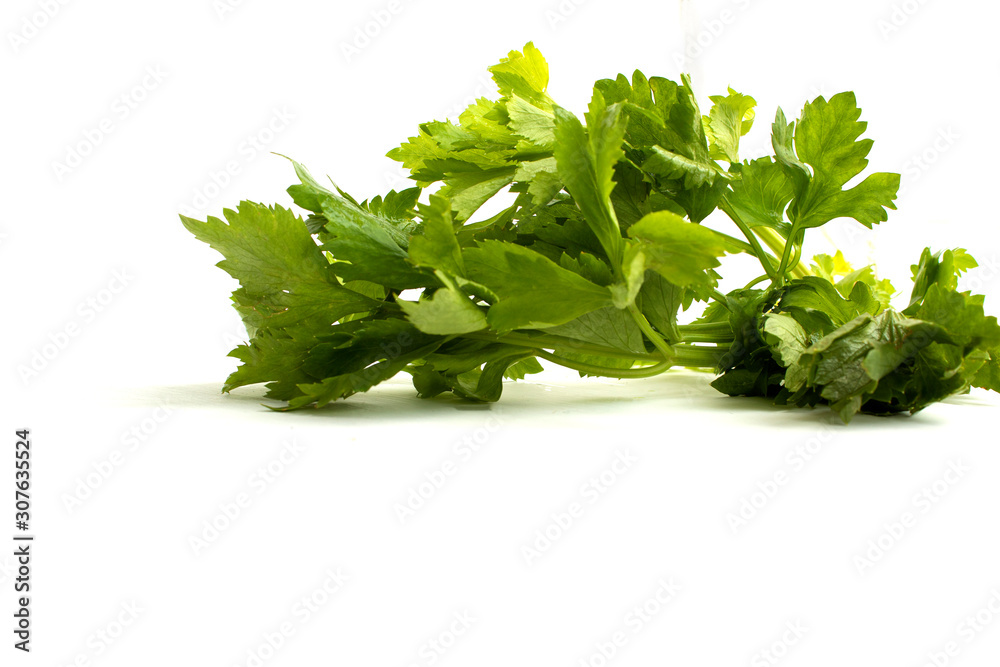 Fototapeta premium fresh celery isolated on white background