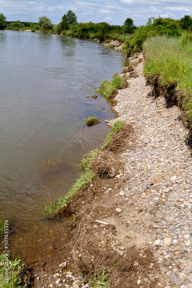 Eroded river bank on the Allier River, France Eroded river bank on the Allier River, France