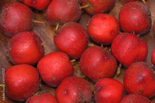 Harvested Japanese hawthorn fruit, Crataegus cuneata