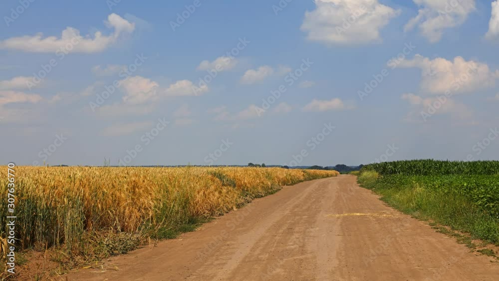 Cinemagraph of earth road between green fields Cinemagraph of earth road between green fields