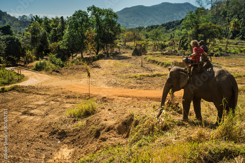 Elephant ride in Thailand © Vuk Tvrdisic