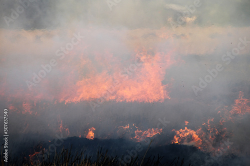 The agricultural waste burning cause of smog and pollution