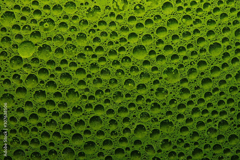 Abstract liquid background fresh green vegetable juice with water bubbles, geometric circles chlorophyll - obrazy, fototapety, plakaty 