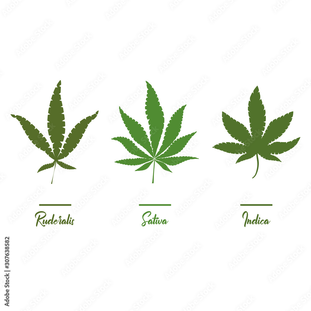 Marijuana, Cannabis icons. Set of medical marijuana icons. Drug consumption. Marijuana, Cannabis icons. Set of medical marijuana icons. Drug consumption.