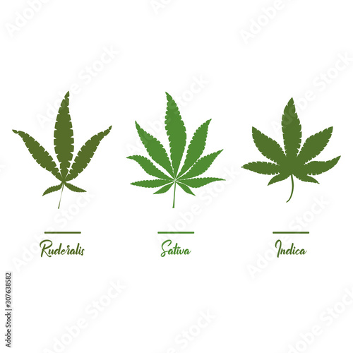 Marijuana, Cannabis icons. Set of medical marijuana icons. Drug consumption.