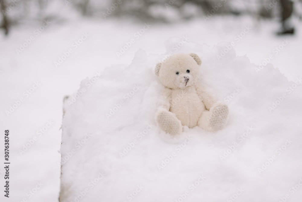 Children's soft toy in the snow Children's soft toy in the snow