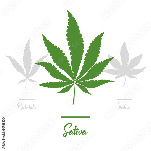 Marijuana, Cannabis icons. Set of medical marijuana icons. Drug consumption.