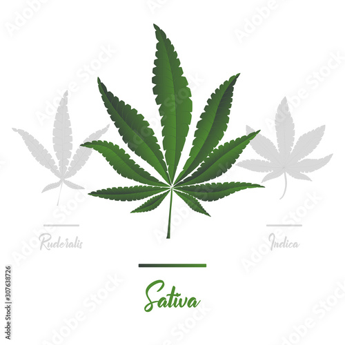 Marijuana, Cannabis icons. Set of medical marijuana icons. Drug consumption.