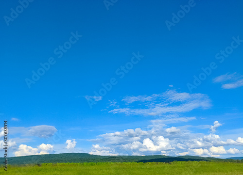 green field and blue sky