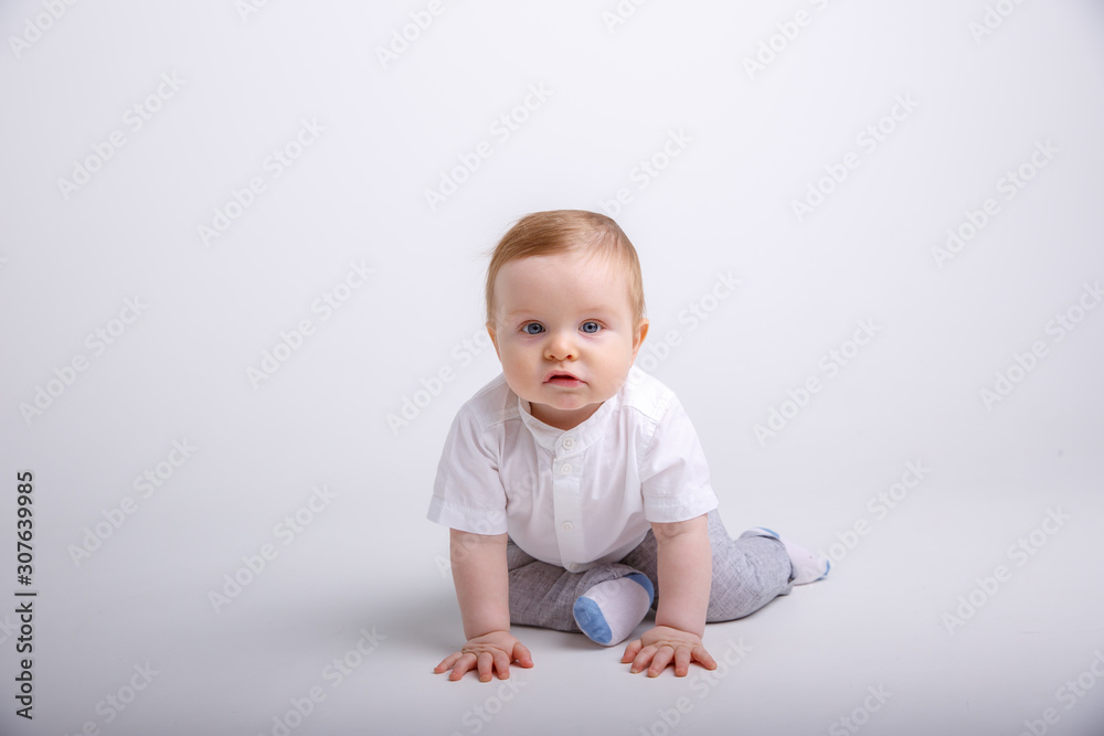 baby boy crawling isolated on white background baby boy crawling isolated on white background