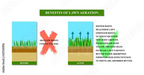 Lawn aeration benefits, vector illustration on white.