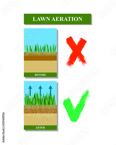 Lawn aeration before and after, vector illustration.