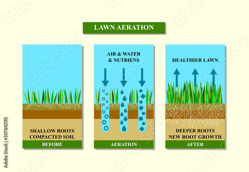 Lawn aeration before and after, vector illustration.