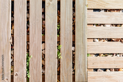 Wallpaper Mural Plants coming out through the wooden tiles of a garden Torontodigital.ca