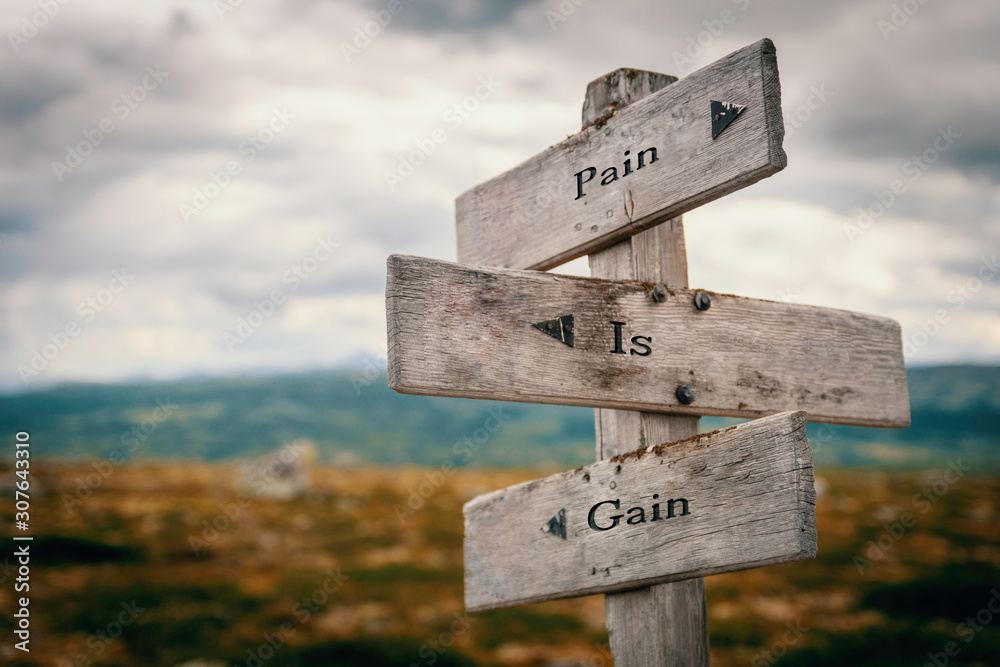 Pain is gain text on wooden rustic signpost outdoors in nature/mountain scenery. Goals, pain, difficult road concept.