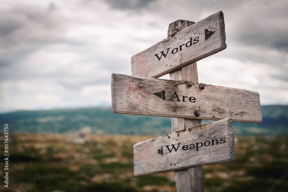 Words are weapons signpost outdoors in nature. Education and violence concept.