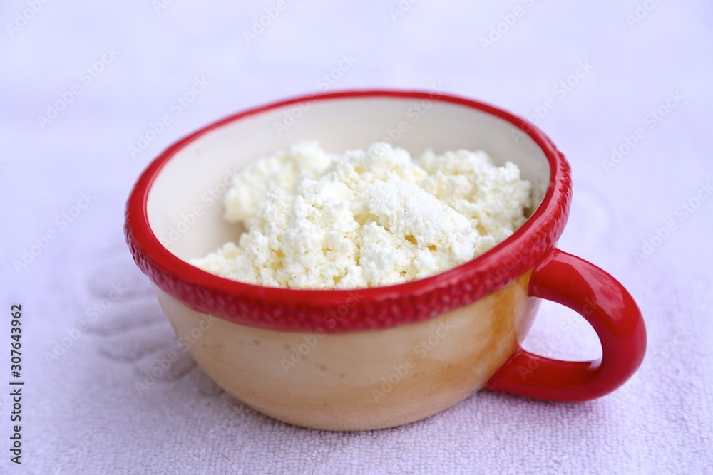 Curd - milk product in clay cup