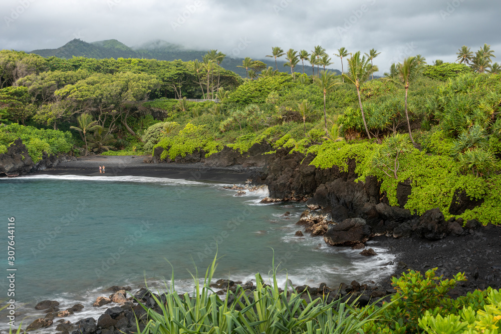 Honokalani, black sand beach at Waiʻānapanapa State Park in Hawaii
