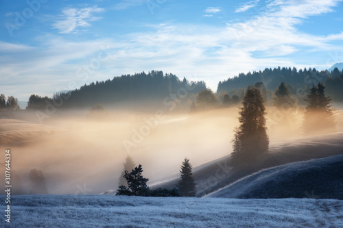 Wonderful Alpine landscape of autumn foggy morning. Seiser Alm, Alpe di Siusi with Langkofel mountain at sunrise, Alto Adige, South Tyrol, Italy, Europe. © Nickolay Khoroshkov