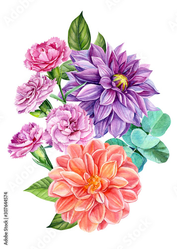  flowers dahlia, carnations, eucalyptus branch, on an isolated white background, watercolor illustration, botanical flora painting