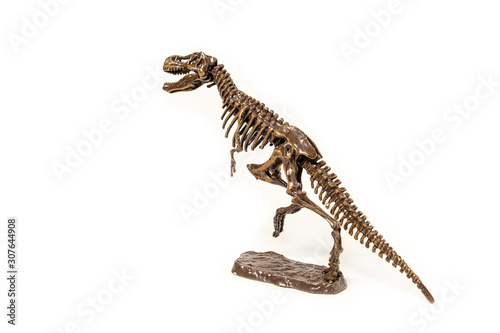 Tyrannosaurus dinosaur skeleton on a white background.
