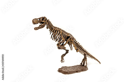 Tyrannosaurus dinosaur skeleton on a white background. © mazalis