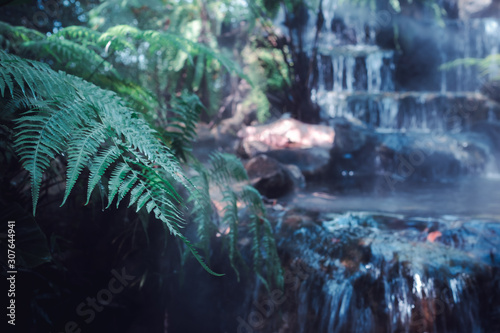 fern green leaves and small waterfall background dramatic picture style
