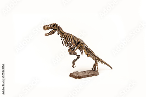 Tyrannosaurus dinosaur skeleton on a white background.