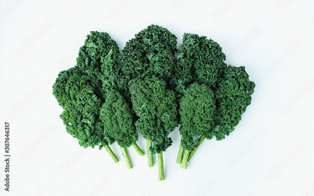 Creative layout made of curly kale leaf on colorful background. Flat lay. Food concept. Creative layout made of curly kale leaf on colorful background. Flat lay. Food concept.
