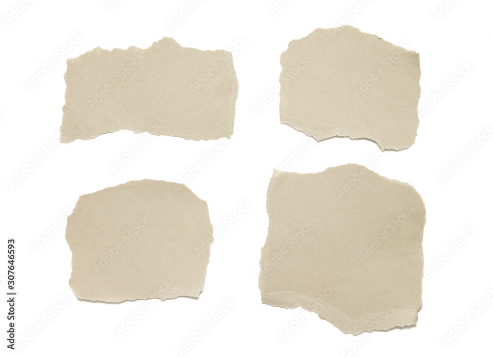 torn paper . collection of ripped pieces paper on white background. torn paper . collection of ripped pieces paper on white background.