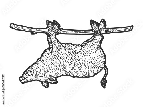 Carrying dead boar on stick from hunt sketch engraving vector illustration. T-shirt apparel print design. Scratch board style imitation. Black and white hand drawn image.