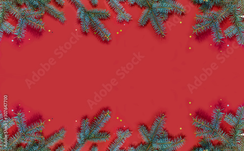 Image of beautiful spruce branches on a red background. © Elena