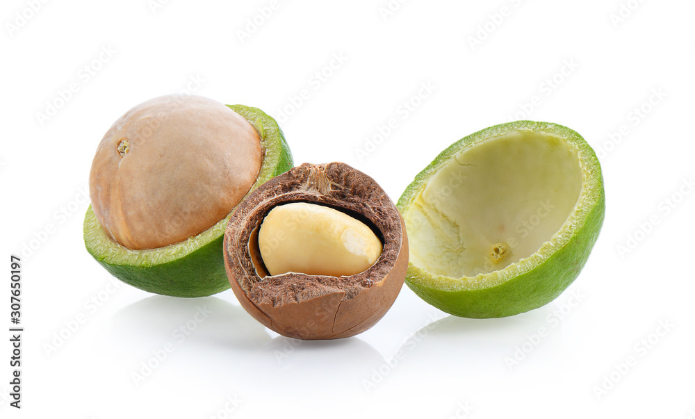 macadamia nuts with leaf isolated on white macadamia nuts with leaf isolated on white
