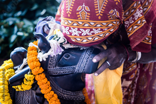 an Indian woman worships the sacred bull Nandi. photo