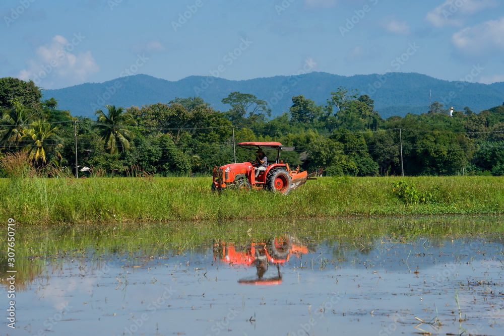 Fototapeta premium Tractor