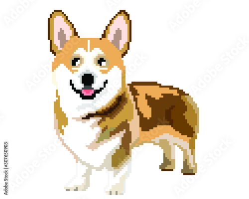 vector pixel art Pembroke Welsh Corgi dog isolated on white background.