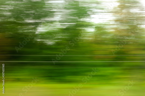 Trees in motion as an abstract background.