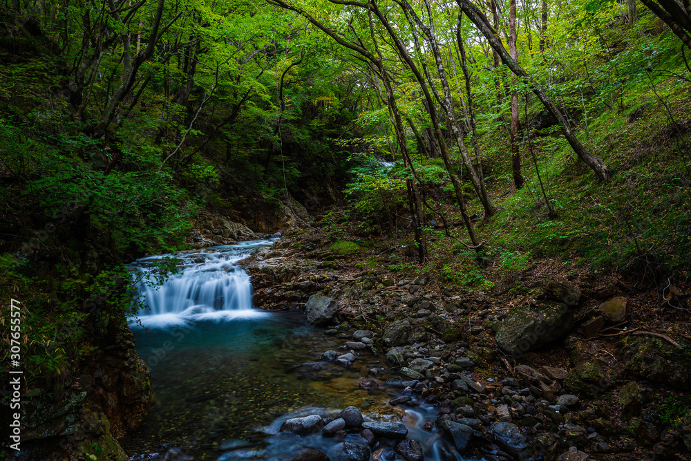 Obraz premium 清流