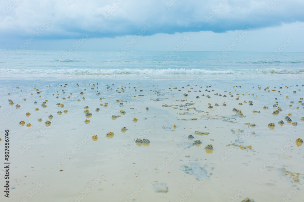The sand coastline with mysterious traces The sand coastline with mysterious traces