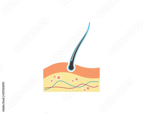 hair root icon vector illustration design