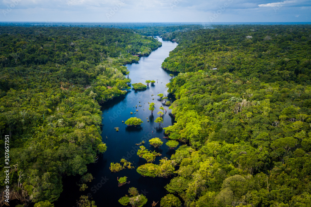 Amazoński las deszczowy w Parku Narodowym Anavilhanas, Amazonas - Brazylia <span>plik: #307657351 | autor: Marcio Isensee e Sá</span>
