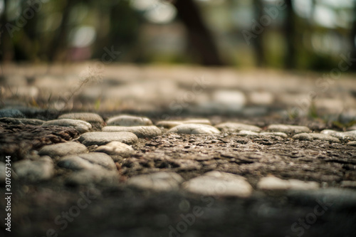 gravel ground and natural bokeh background.