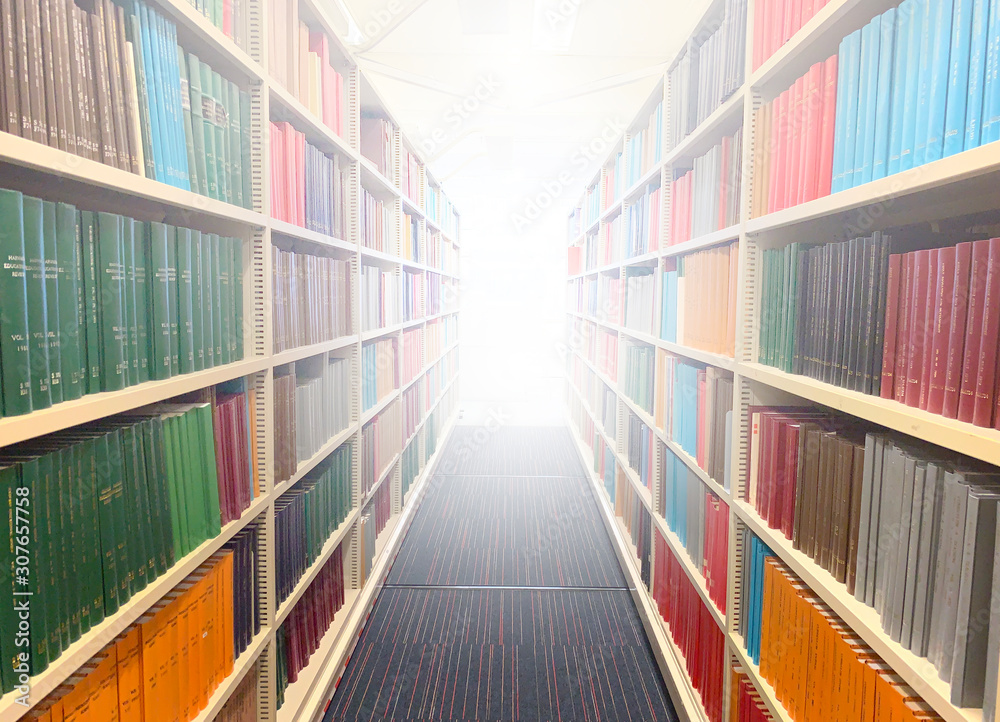 Fototapeta premium the bright at the end of library
