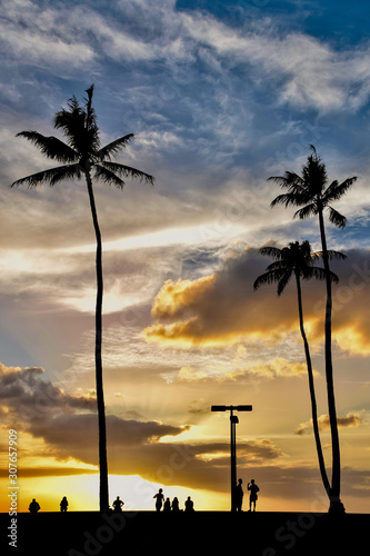 Golden hour sunset in Hawaii with palm tree silhouettes