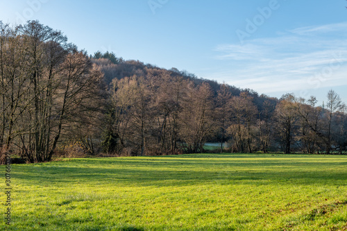 Im schönen Hanfbachtal in den Ausläufern des Siebengebirges © Dr. Jürgen Tenckhoff