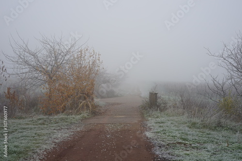 Feldweg mit kleiner Brücke bei Frost und Nebel photo