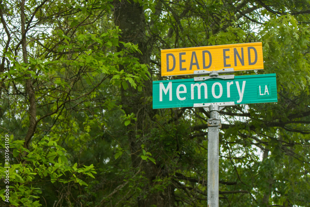 Memory Lane Dead End
